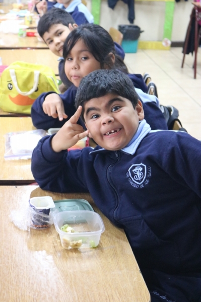 Día de la Actividad Física